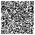 QR code with Dfs Co contacts