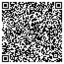 QR code with Public Works contacts