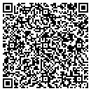 QR code with Premier Snow & More contacts