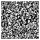 QR code with Celerity Group Inc contacts