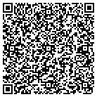QR code with Professional Connection contacts