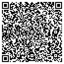 QR code with Precision Data Works contacts