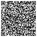 QR code with Pritchett Auto Sales contacts