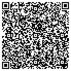 QR code with Plains Custom Farming contacts