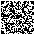 QR code with Viscon contacts