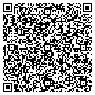 QR code with Pub Drinks of Austin Inc contacts
