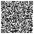 QR code with Wdg Inc contacts
