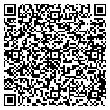 QR code with Neca contacts