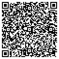 QR code with Basis contacts