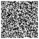 QR code with Pulse Staffing contacts