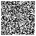 QR code with T Day contacts