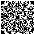 QR code with Dashing contacts