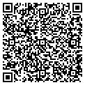 QR code with TCBY contacts