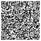 QR code with Pull International Inc contacts