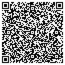 QR code with Pyramid Tubular contacts
