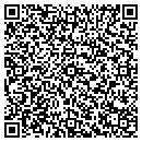 QR code with Pro-Tek Auto Glass contacts