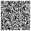 QR code with Celestial Concepts contacts