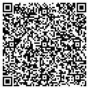 QR code with Praseks This n That contacts