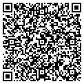 QR code with Adland contacts