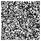 QR code with Public Safety Department contacts