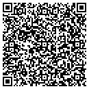 QR code with Precious Image Inc contacts