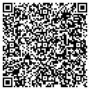 QR code with Blue Star Mechanical contacts