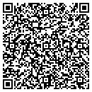 QR code with Pulaski Co contacts