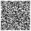 QR code with TEI Controls contacts