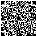 QR code with Borrego Lawn Mowing contacts