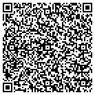 QR code with Blue Water Surveyors Inc contacts