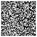 QR code with Costumes & Dancewear contacts