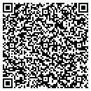 QR code with Purmatik contacts
