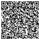 QR code with PSI Group Inc contacts