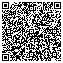 QR code with Bison Engineering Inc contacts