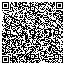 QR code with Pro Diem Inc contacts