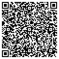 QR code with C Wok contacts