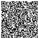 QR code with Precision Demolition contacts