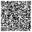 QR code with Lile contacts