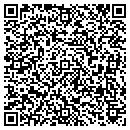 QR code with Cruise One Of Dallas contacts