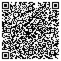 QR code with Callan contacts
