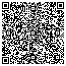 QR code with Carrolls Style Shop contacts
