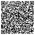 QR code with Avomex contacts