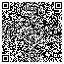 QR code with Consumer Access contacts