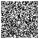 QR code with Psychesoma Center contacts