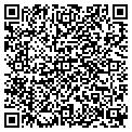 QR code with Napoli contacts