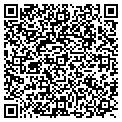 QR code with Allergan contacts
