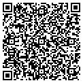QR code with Cucini contacts