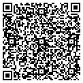 QR code with Nebs contacts
