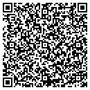 QR code with Print Systems Inc contacts