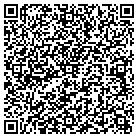 QR code with Pulido's Mexican Rstrnt contacts